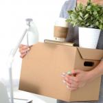 How Removalists Make Your Moving Task Easier