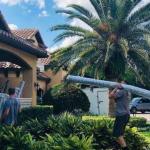 Call Them Movers In Orlando Teleport Moving Company