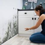 Guide to a Mold-Free Home in Miami
