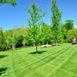 Lawn Mowing Tips for a Professional finish