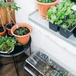 Tips To Make The Most Of A Small Apartment Garden