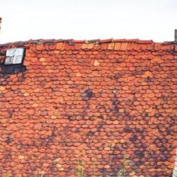 Is It Time to Invest in a New Roof? 5 Signs It’s Time