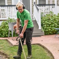 Landscaping Your Backyard 101: What You Should Know